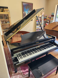 Nordiska 5'5"  Polished Ebony "Hidden Beauty"