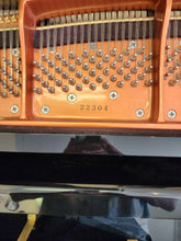 Nordiska 5'5"  Polished Ebony "Hidden Beauty"